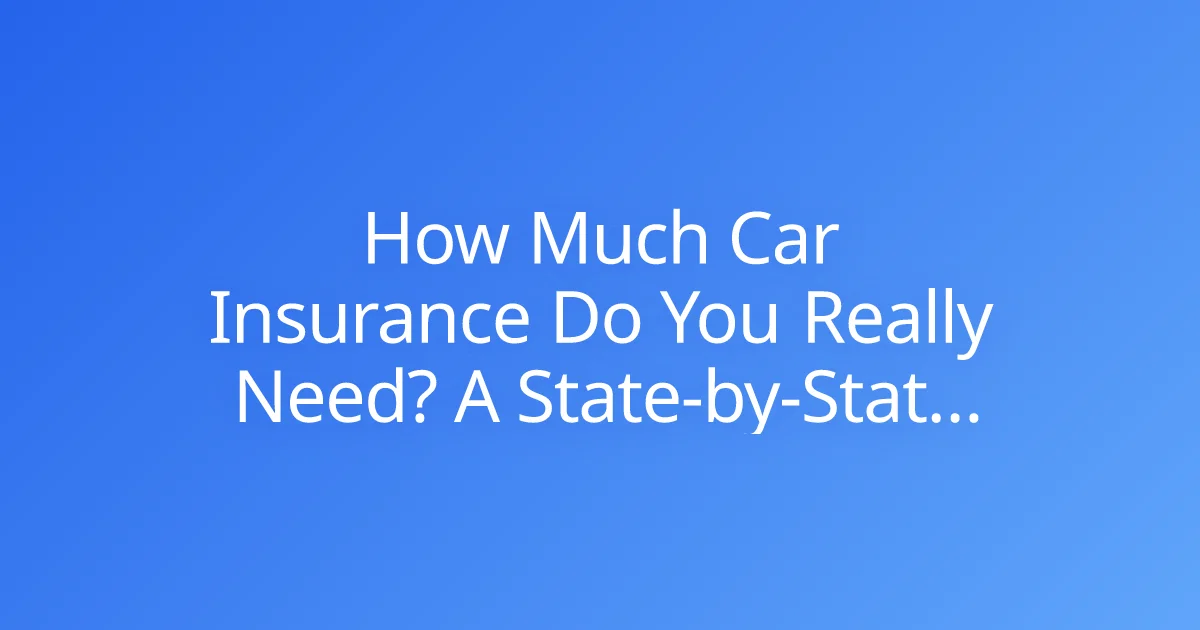 How Much Car Insurance Do You Really Need? A State-by-State Look (Focus on a few key states for detail)