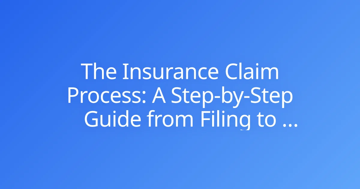 The Insurance Claim Process: A Step-by-Step Guide from Filing to Payout